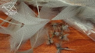 Preparation of wally wings