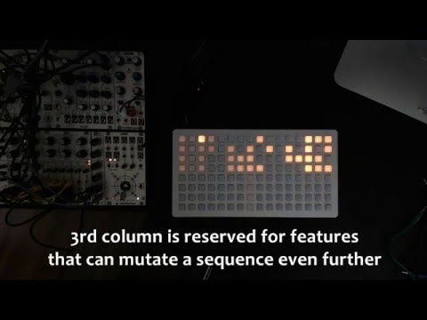 orca - rotate sequencers | mutate sequencer | global reset