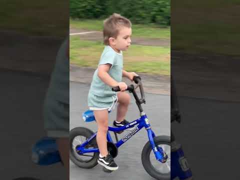 2.5 Years Old Pedal Bike - No Training Wheels!