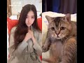 Tiktok Kucing NakaLLL Liat Cewek Buka Baju
