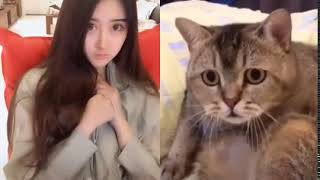 Download lagu Tiktok kucing nakaLLL liat cewek buka baju!!!!! mp3
