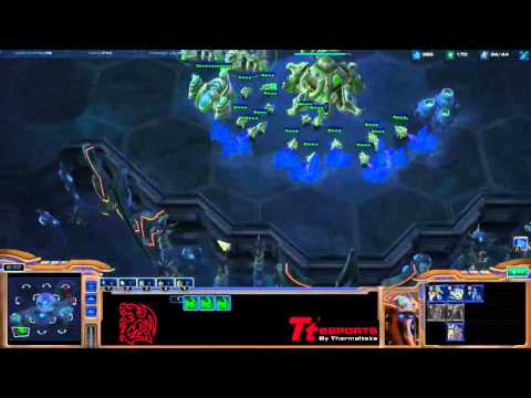 PvT - desRow vs MYMClouD