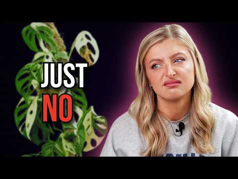 If I Lost My Entire Collection Tomorrow… I Wouldn’t Rebuy These