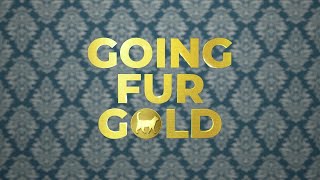 Going Fur Gold on Nat Geo WILD & Disney+