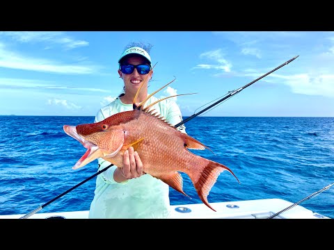 Sara shot the *BIGGEST* Hogfish! Bahamas spearfishing! Catch Clean and Cook on PRIVATE ISLAND