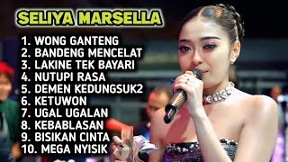 Download lagu FULL ALBUM TERBARU 2026 SELIYA MARSELLA WONG GANTENG - BANDENG MENCELAT - LAKINE TEK BAYARI - mp3