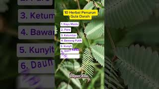 Download lagu 10 Herbal Penurun Gula Darah Tinggi #manfaatkesehatan mp3