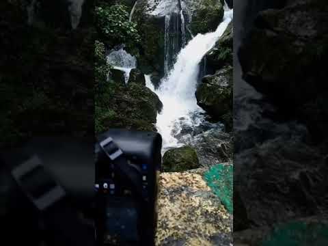 Monsoon trail || Short Nature video || Long exposure shot || Reels|| Trampoline ( Jauz Remix )