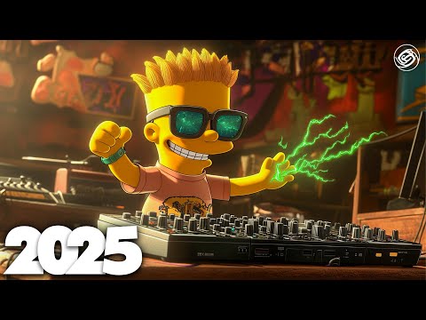 EDM Mashup Mix 2025 | Best Mashups & Remixes of Popular Songs - Party Music 2025 #2