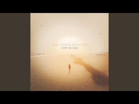 Anything And Everything - The Icarus Account