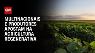 COP30: agricultura regenerativa pode gerar crédito de carbono