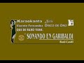 Soñando en Garibaldi- Vicente Fernández Karaoke