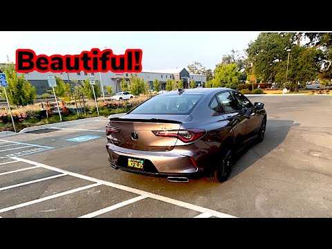 How to correctly install emblems on your 2021 2022 Acura TLX & Type S