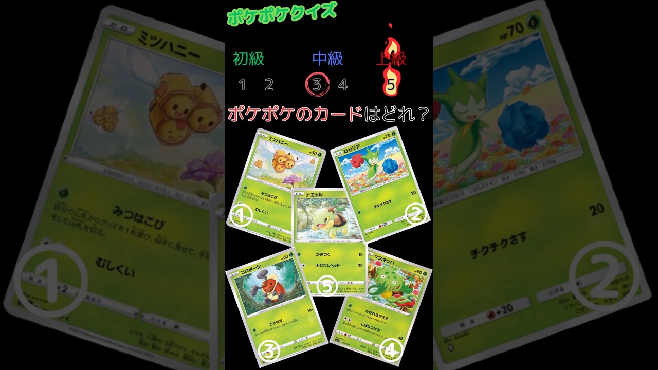 【ポケポケ】 ポケポケクイズ！！#ポケポケ #ポケモン #カードゲーム #ポケカ  #神引き #ポケ活  #ヒカキンポケポケ #ポケポケクイズ #ポケモンカード#寶可夢 #ポケカ  #ポケモンカード
