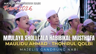 Download lagu MAULAYA SHOLLI'ALA HABIBIKAL MUSTHOFA (FULL KOPLO) MAJELIS GANDRUNG NABI TERBARU 2026 mp3