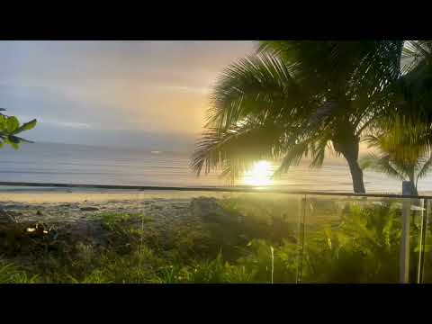 56 Cinderella Street, Machans Beach, QLD 4878, 3 Bedrooms, 1 Bathrooms, House