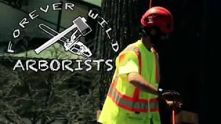 Forever Wild Arborists