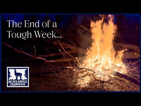 A Peaceful Evening Burning Down a Tree