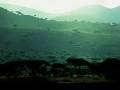 Ani Difranco, Red Letter Year, The Atom