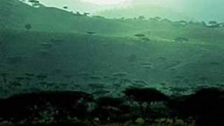 Ani Difranco, Red Letter Year, The Atom