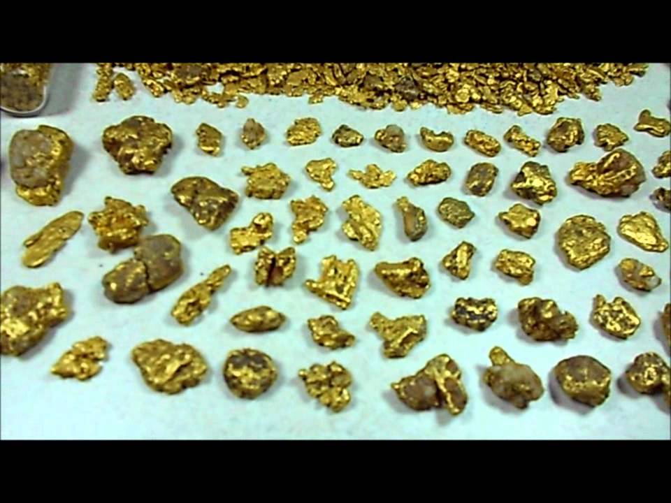 Alaska Gold Nugget Collection