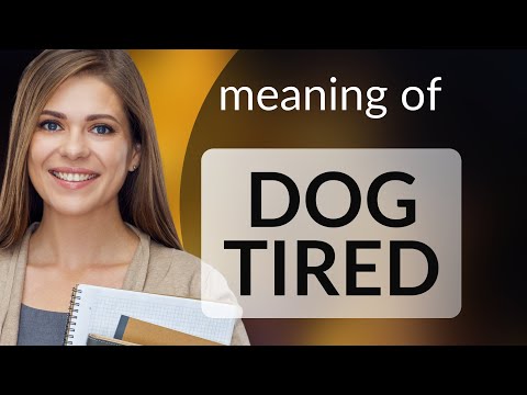 Understanding "Dog Tired": A Phrase Explained