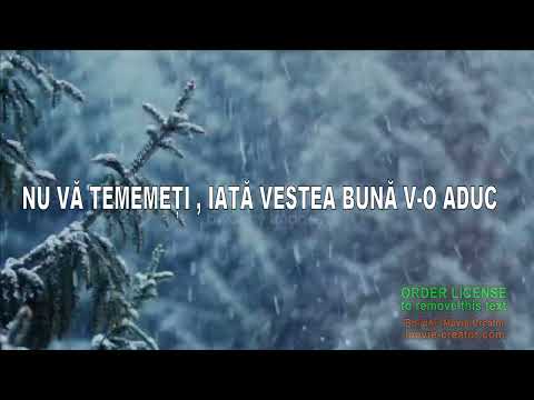 Nu vă temeți , iată vestea bună v-o aduc - Nou  - Colind 