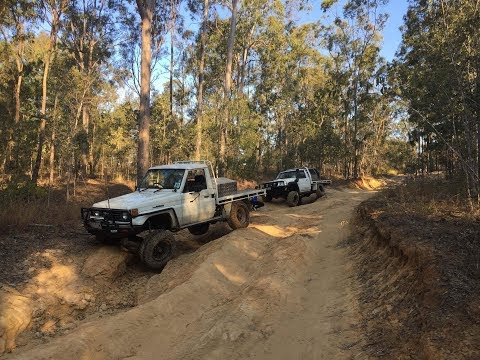 'WE FOUND NEW TRACKS!' Ripley 4x4