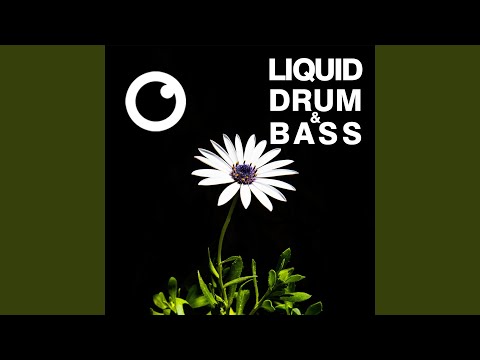 Liquid Drum & Bass Sessions 2020 Vol 35