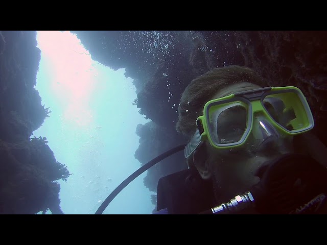 Ep 20: Scuba Diving The Great Barrier Reef