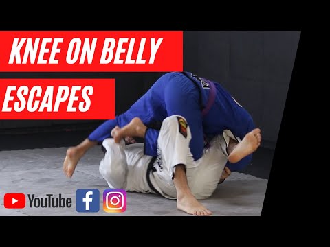 EASCPING THE BOTTOM PIN - KNEE ON BELLY - REVERSAL - GUARD RECOVERY - ESCAPES - SUBMISSION - SAMPLES