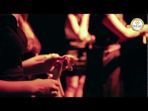 DJ Anna Sarah - DeLux Electronic Festival | Wippenberg, Avicii, Ashley Wallbridge & Gareth Emery