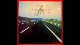 PAT METHENY   NEW CHAUTAUQUA