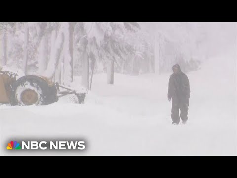 U.S. East coast digs out from record-breaking blizzard