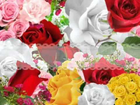 u gotta believe(wgenelyn)