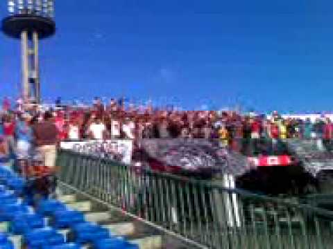 Video do gordo Fiab - no almedão