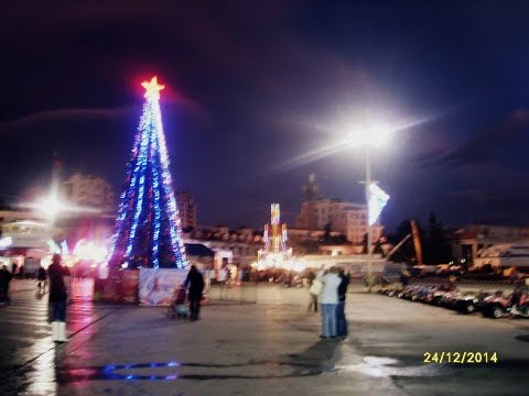 Ялта ЁЛОЧКА 2015