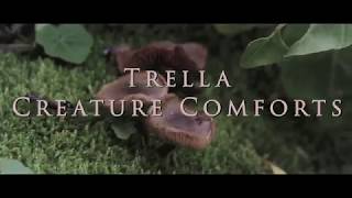 Trella - Creature Comforts (unofficial music video)