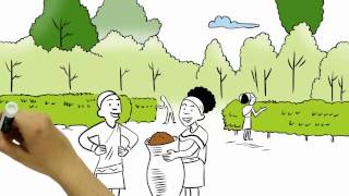 Download lagu Ethiopian Forest Coffee mp3