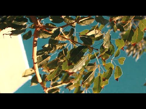 learn a couple things about me