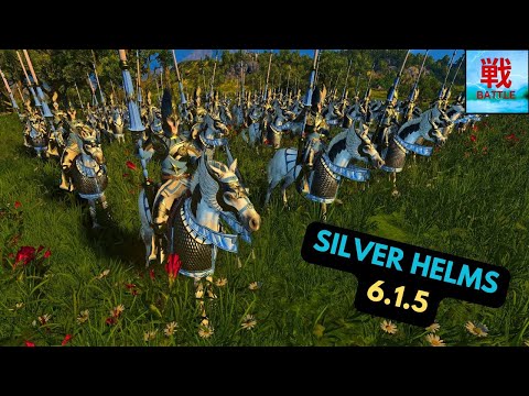 Are Silver Helms Any Good in Patch 6.1.5? - High Elves Unit Focus