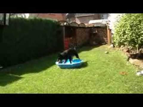 Waleska vom schönen Blick