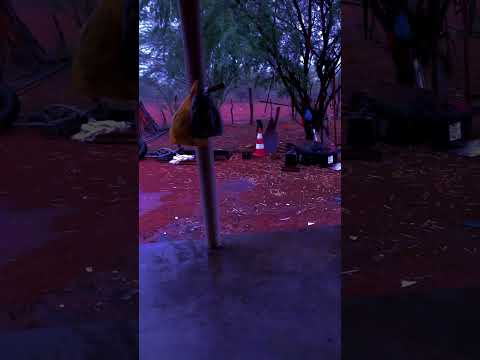 Ta chovendo muito aqui em Inajá Pernambuco