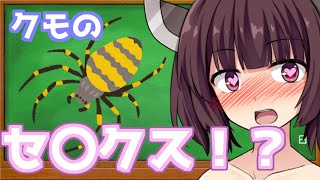 【閲覧注意】クモのセ○クスについて解説【VOICEROID解説】