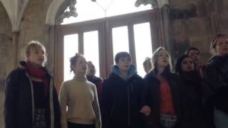 Owl Parliament Choir - Seagull of the land under the waves
