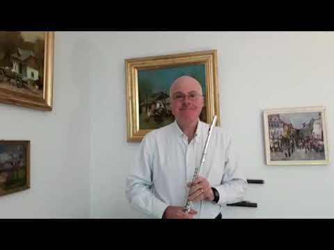 Virtueller Tag der offenen Tür - Mihail Maxim - Querflöte