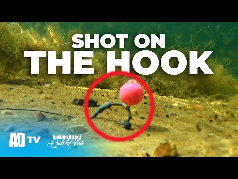 How To Tie A Simple 'Shot On The Hook Rig' - Carp Fishing Quickbite
