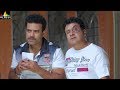 Gullu Dada Salim Pheku Aziz Naser Comedy Scenes Back To Back Dawat E Shaadi Hyderabadi Comedy