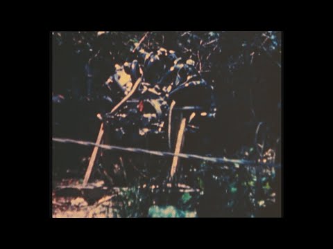 Battle of Peleliu, D-day  4 of 4