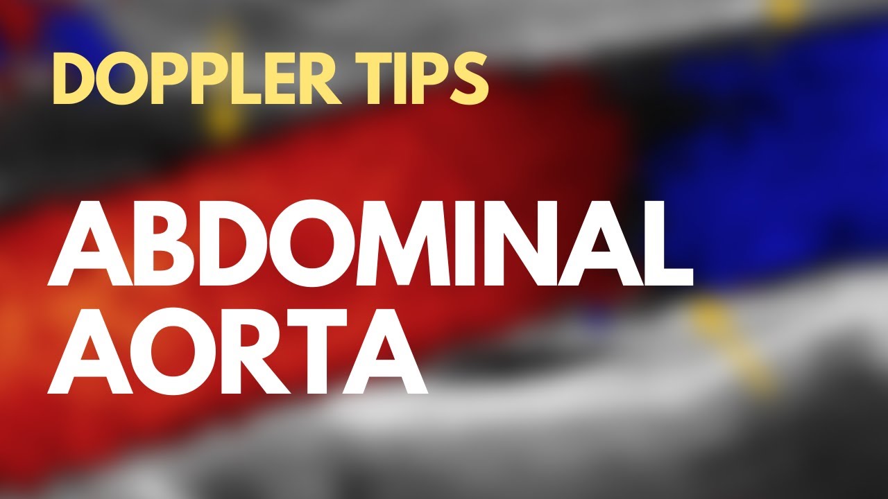 Doppler Tips In Abdominal Aorta | Arabic Version